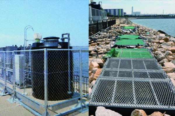堺浜の水質浄化実験
